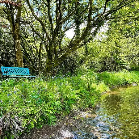 Stepping Stones Glamping 'the Olive' Σπίτι διακοπών