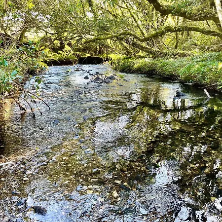 Stepping Stones Glamping 'the Olive' Ferienhaus *