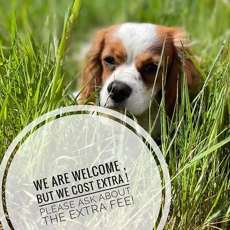 Stepping Stones Glamping 'the Olive' Σπίτι διακοπών *