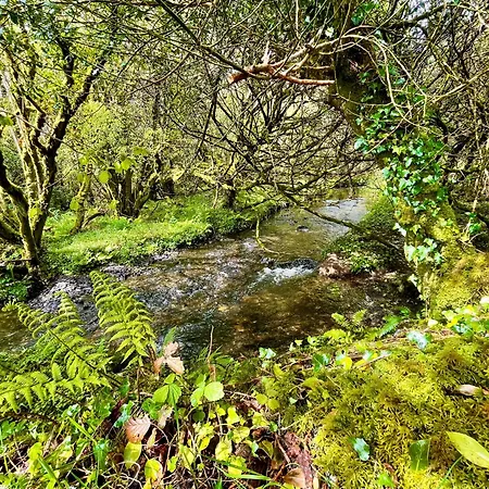 Stepping Stones Glamping 'the Olive' Bantry