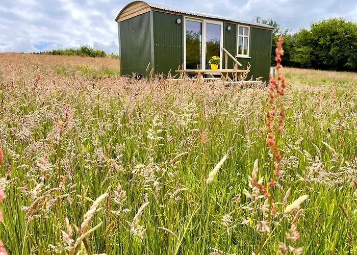 بيت للعطل Stepping Stones Glamping 'the Olive'