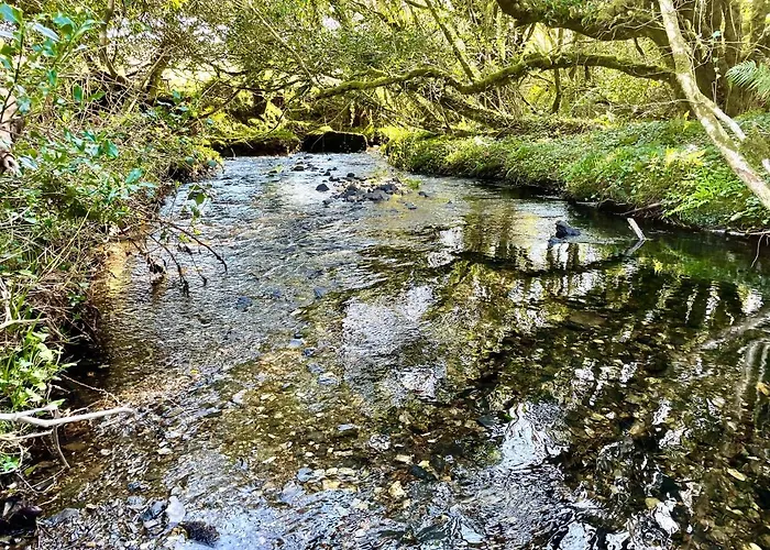Stepping Stones Glamping 'the Olive' بيت للعطل *