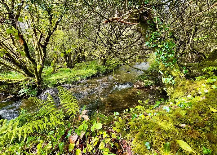 Stepping Stones Glamping 'the Olive' بانتري